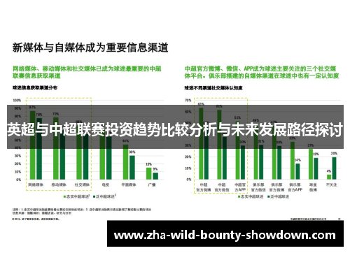 英超与中超联赛投资趋势比较分析与未来发展路径探讨