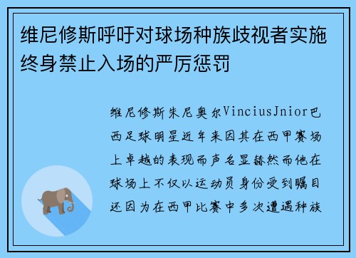 维尼修斯呼吁对球场种族歧视者实施终身禁止入场的严厉惩罚