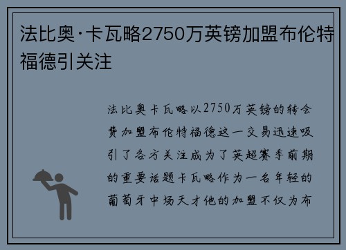 法比奥·卡瓦略2750万英镑加盟布伦特福德引关注