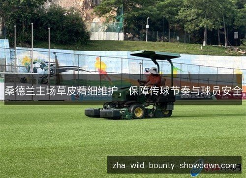 桑德兰主场草皮精细维护，保障传球节奏与球员安全